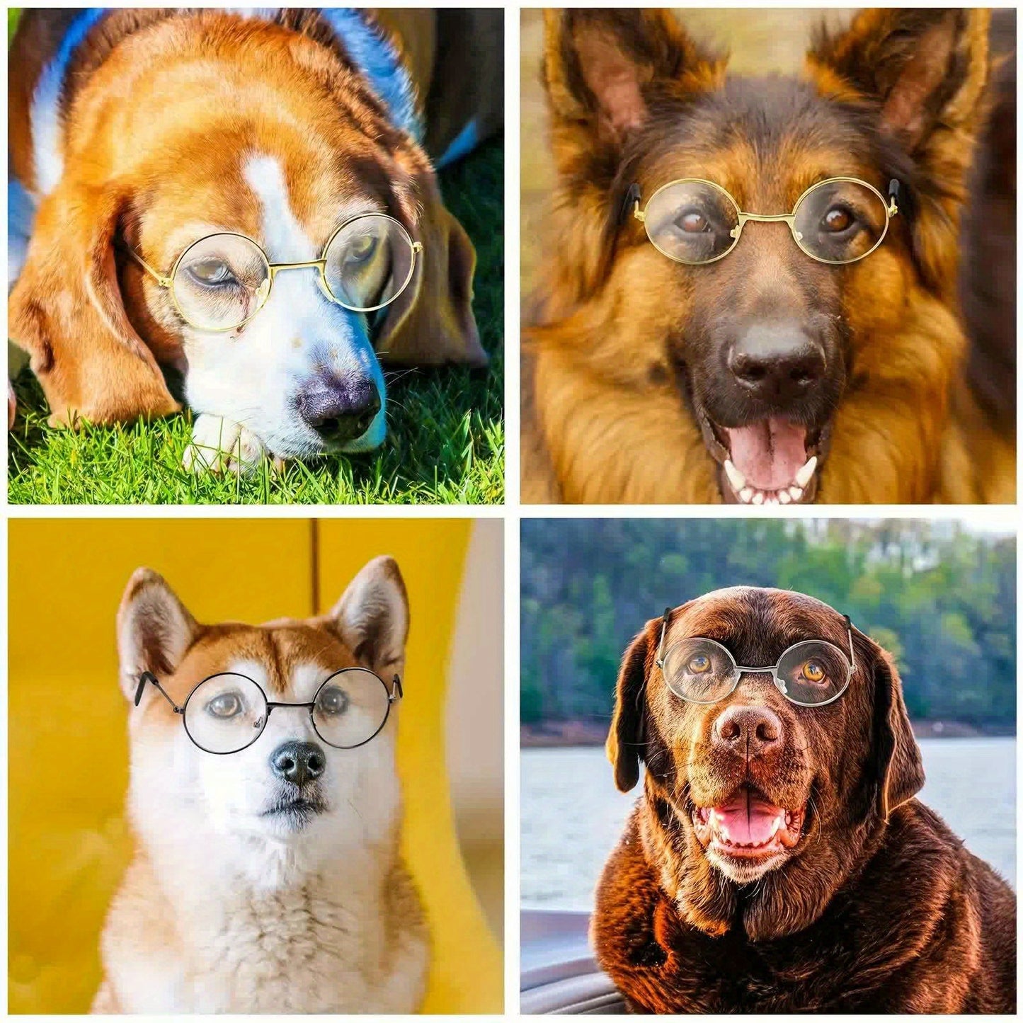 Lot de 3 Lunettes Adorables pour Animaux avec Monture en Fil Métallique & Verres Transparents - Parfaites pour Poupées, Chats, Chiens | Convient aux Poupées de 8\