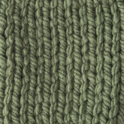 Bernat Softee Chunky Yarn (100g/3.5oz)