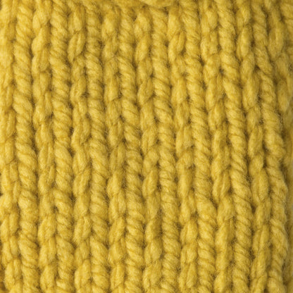 Bernat Softee Chunky Yarn (100g/3.5oz)