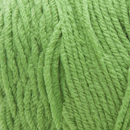Bernat Premium Yarn