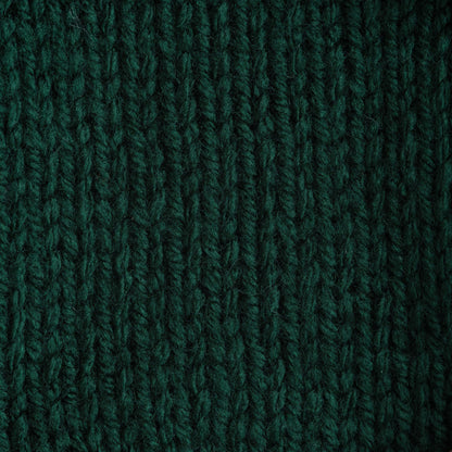Bernat Premium Yarn