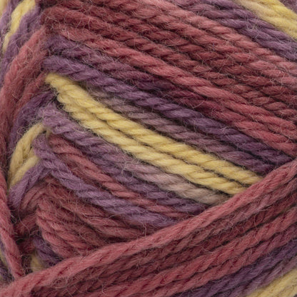 Patons Classic Wool Worsted Yarn