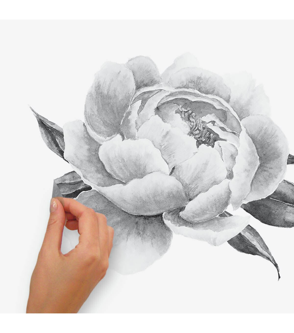 RoomMates Black Peonies Peel And Stick Decals - Black