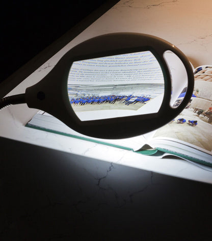 Brightech LightView LED Floor Magnifier with 5 Diopter - Black