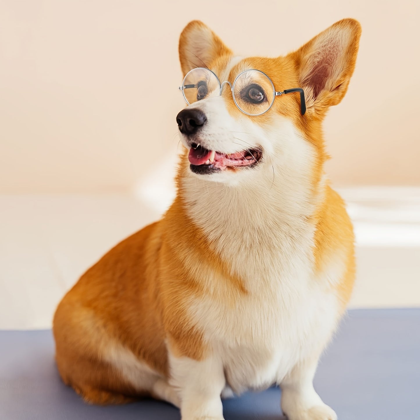 Lot de 3 Lunettes Adorables pour Animaux avec Monture en Fil Métallique & Verres Transparents - Parfaites pour Poupées, Chats, Chiens | Convient aux Poupées de 8\