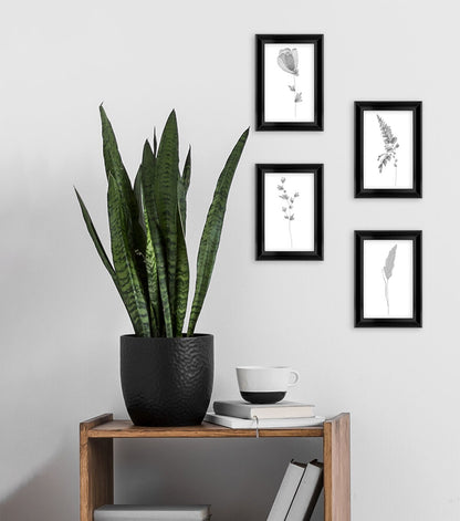 4" x 6" Black Snapshot Tabletop Picture Frames 4pk by Place & Time