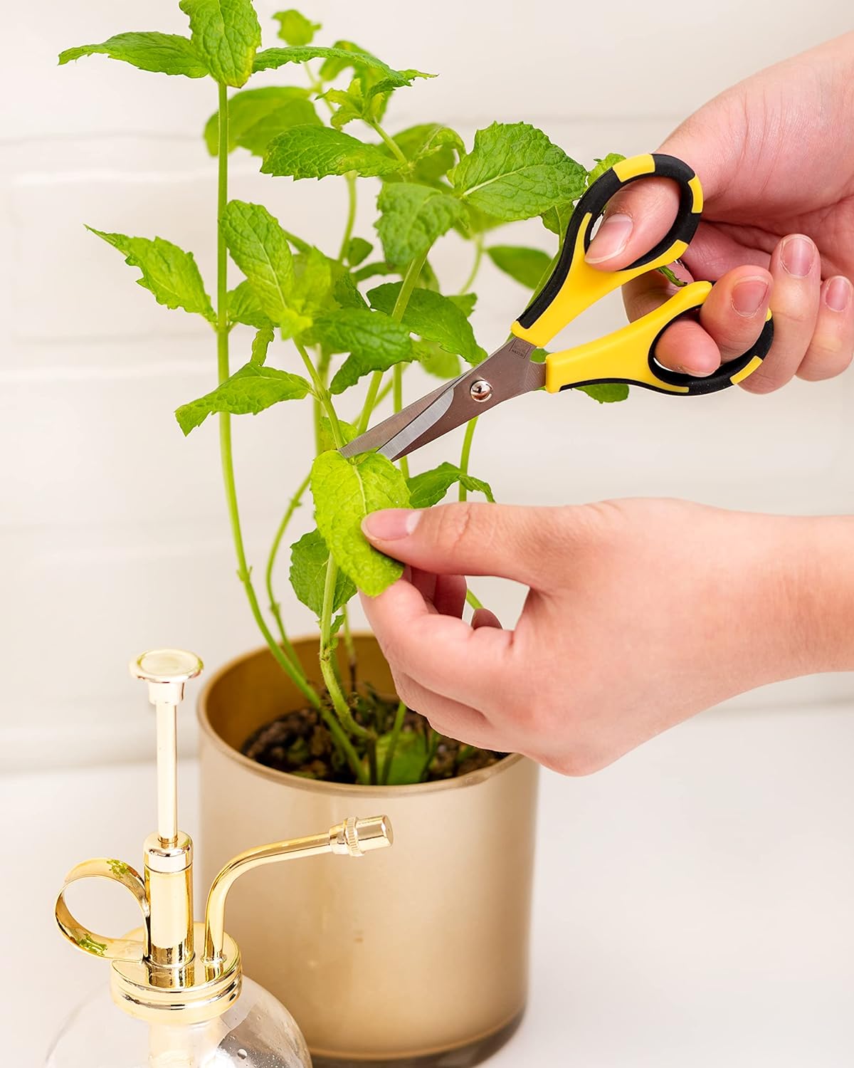 EK Tools Cutter Bee Precision Craft Scissors, Small, Yellow and Black, Package Includes 1 Ergonomic Scissor and 1 Protective Safety Cover, For Cutting, Paper, Herbs, and More