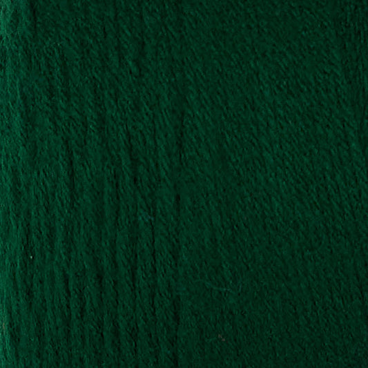 RH Super Saver Yarn (1000g/35.3oz)