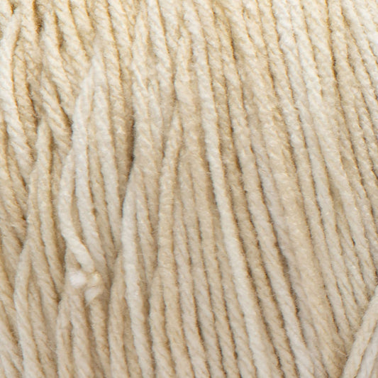RH Super Saver Ombre Yarn