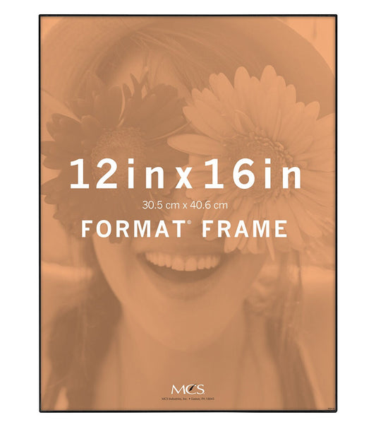 MCS 12" x 16" Front Loading Black Wall Frame