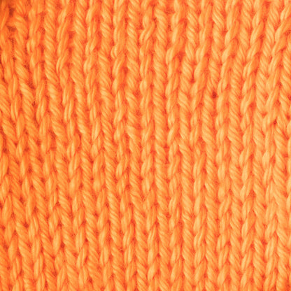 Caron Simply Soft Yarn