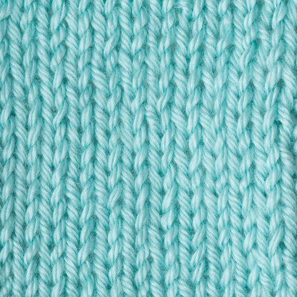 Caron Simply Soft Yarn