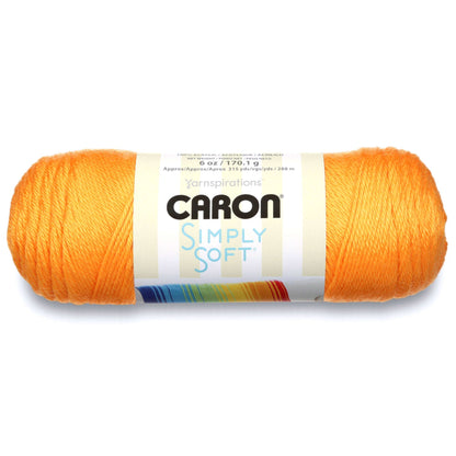 Caron Simply Soft Brites Yarn