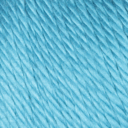Caron Simply Soft Brites Yarn