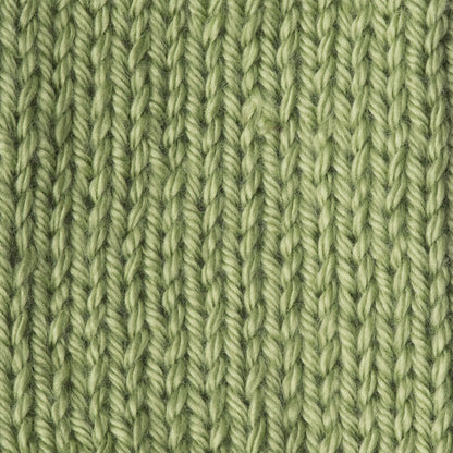 Caron Simply Soft Yarn